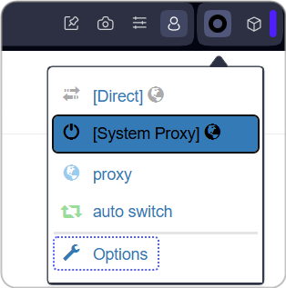 Opening ZeroOmega settings
