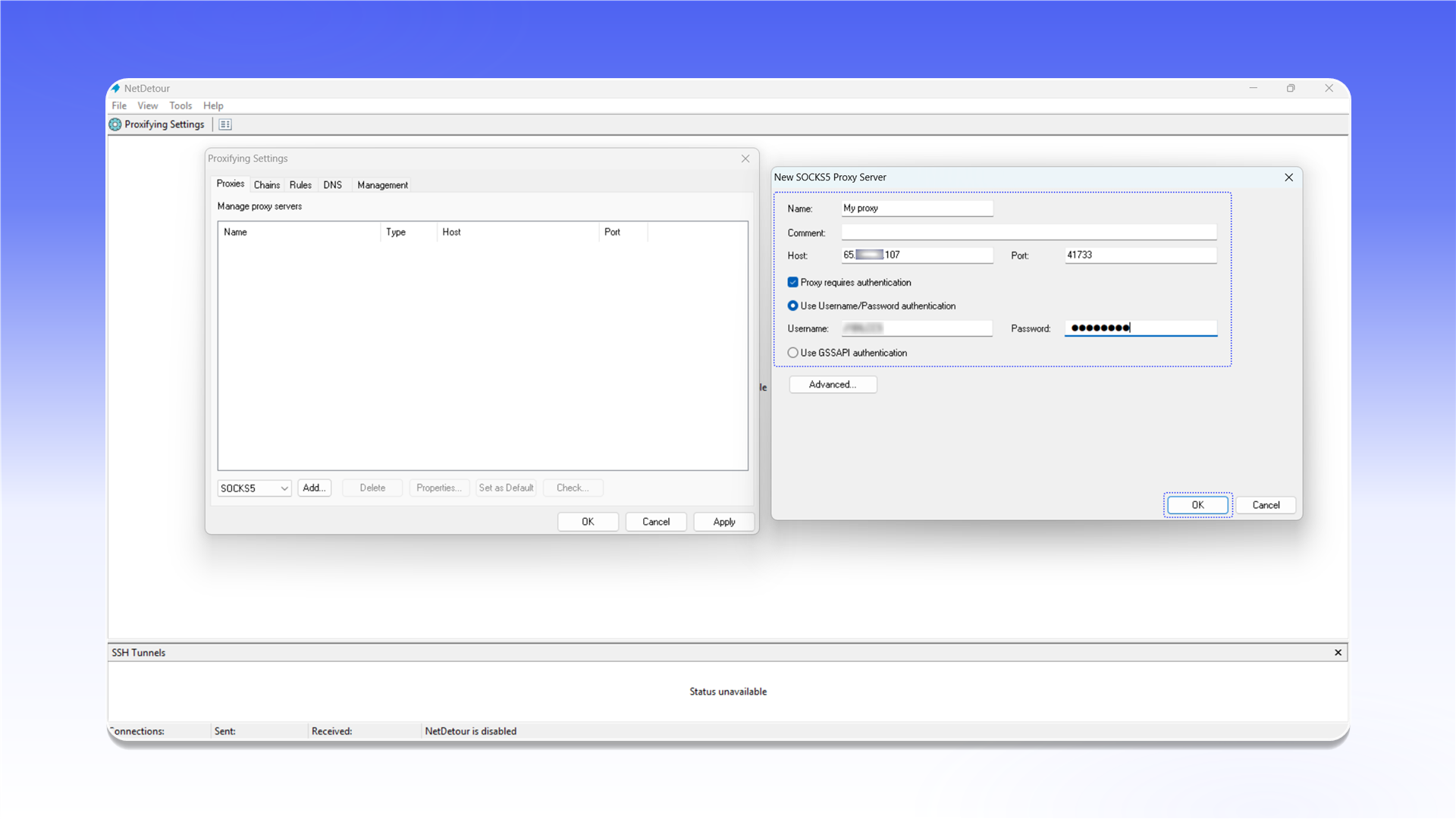 SOCKS5 proxy settings in NetDetour
