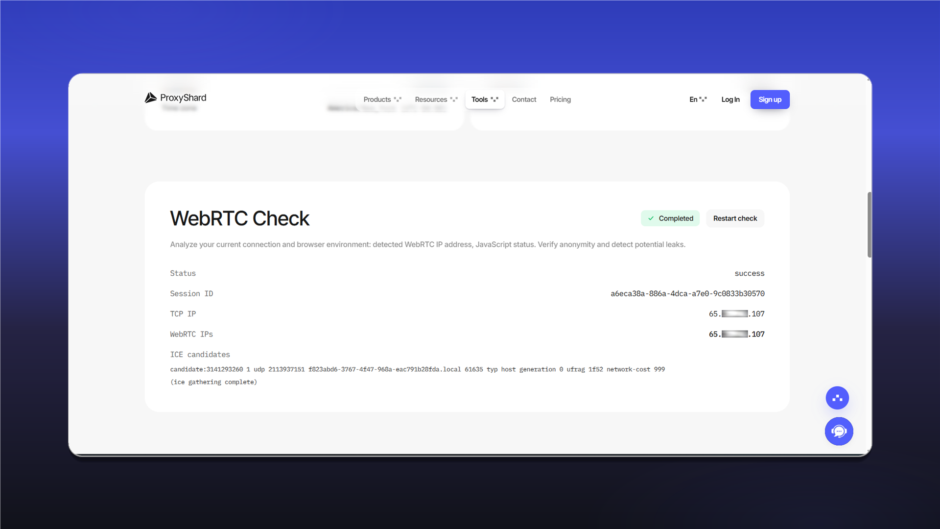 Проверка TCP и WebRTC в профиле Vision Browser