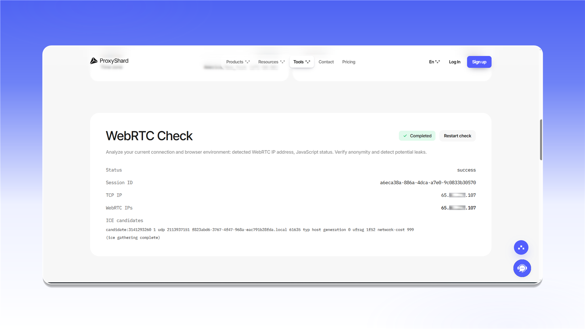 Перевірка TCP і WebRTC у Vision Browser